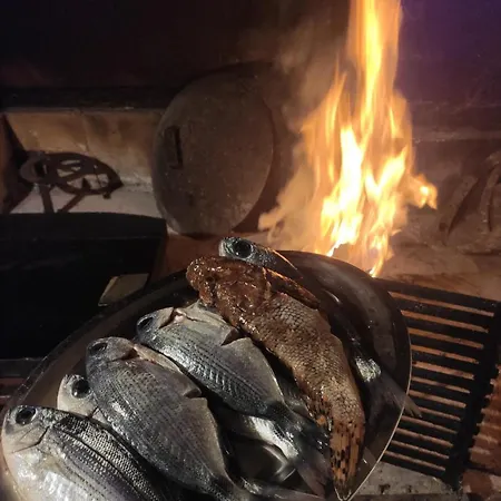 Slaven Podgora (Split-Dalmatia)